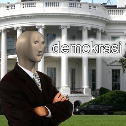 Meme Man archive image — demokrasi