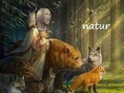 Meme Man archive image — natur