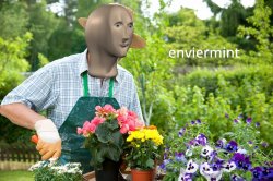 Meme Man archive image — enviermint