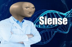Meme Man archive image — Siense