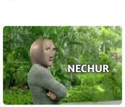 Meme Man archive image — NECHUR